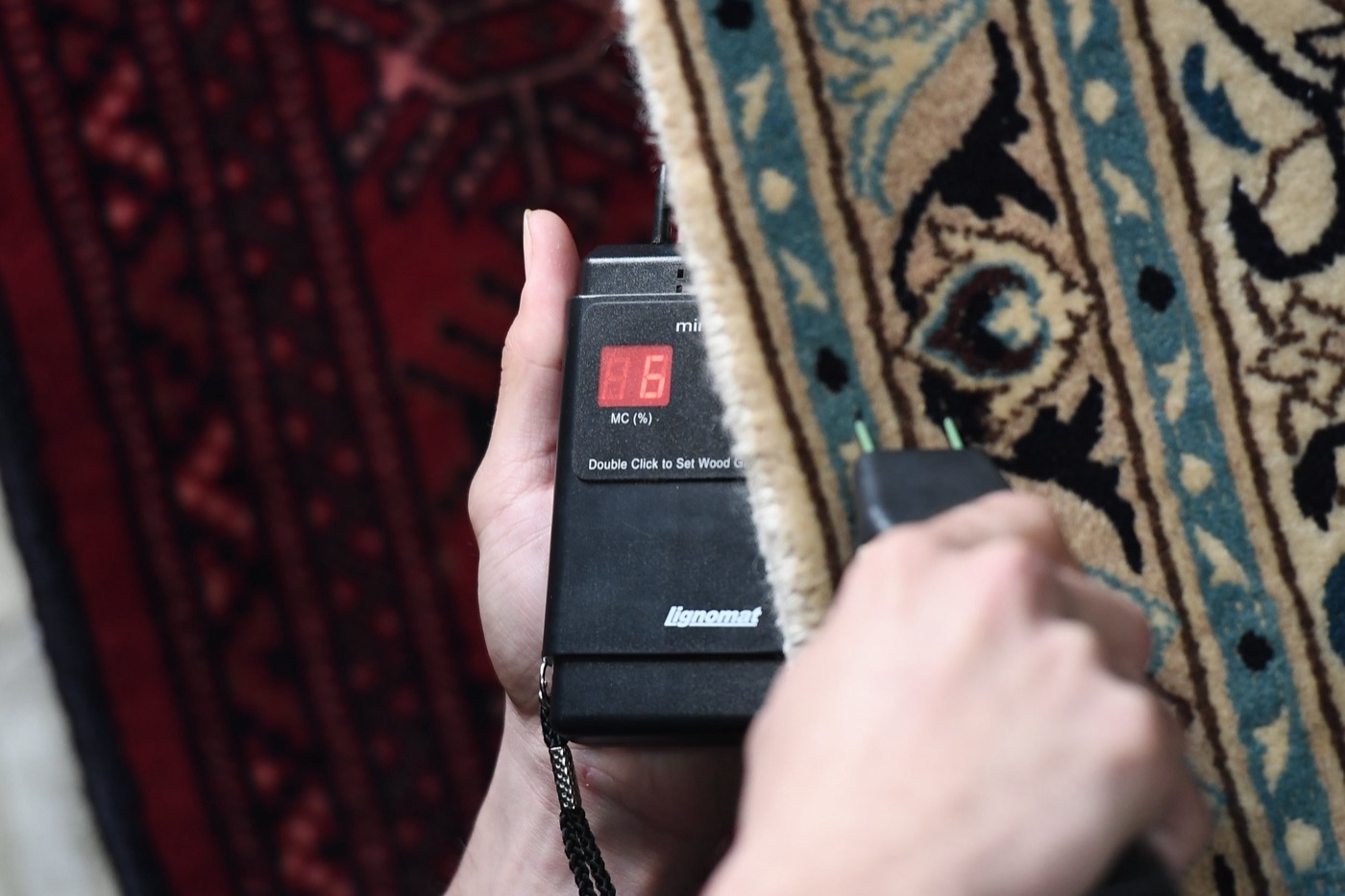 Testing the moisture level of a cleaned rug