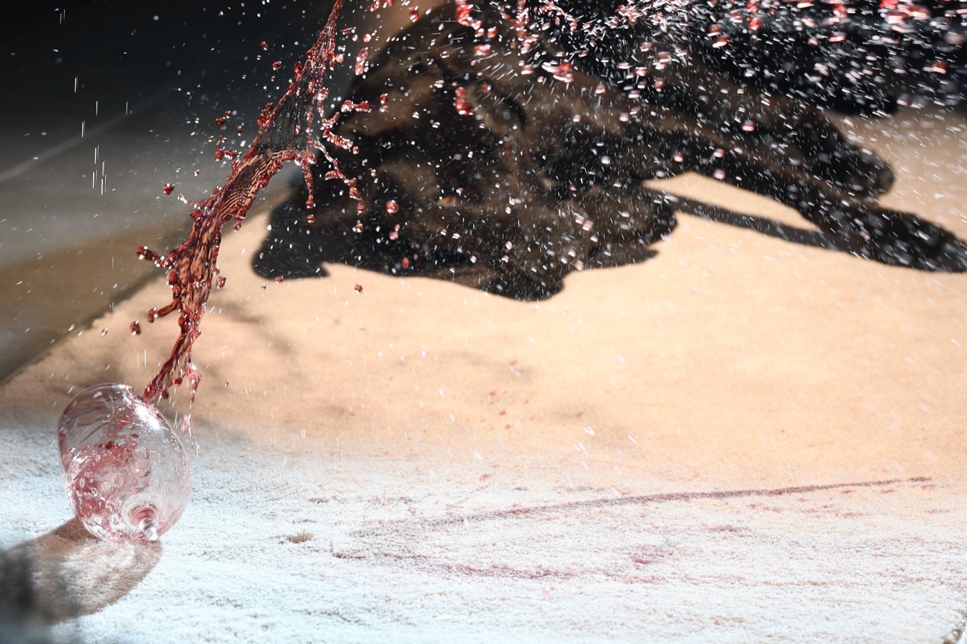 Wine spill beside a rug and dog — upholstery and carpet care